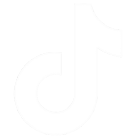 TikTok Icon